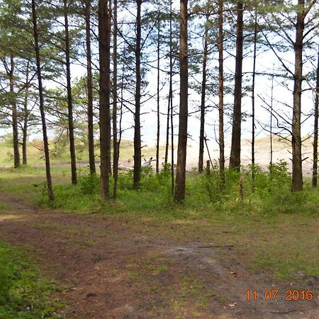 Kempings Videnieki Liepene Bagian luar foto