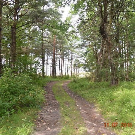 Kempings Videnieki Liepene Bagian luar foto