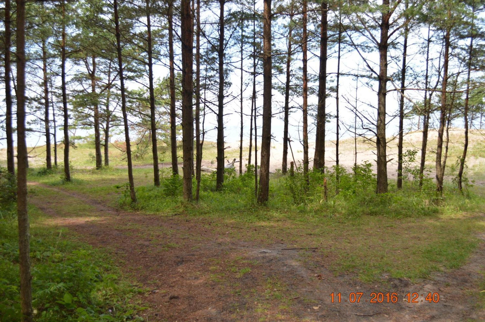 Kempings Videnieki Liepene Bagian luar foto