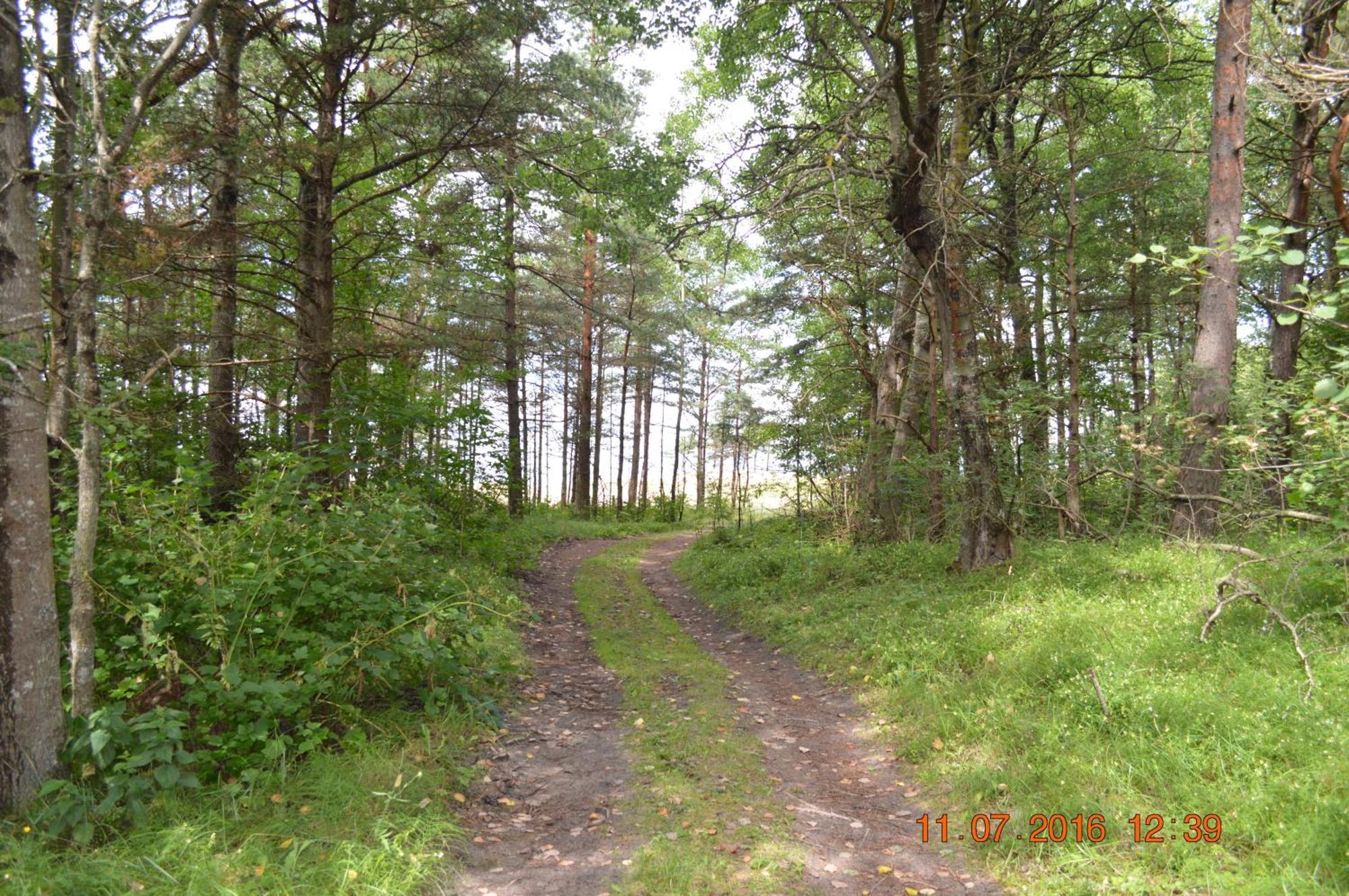 Kempings Videnieki Liepene Bagian luar foto