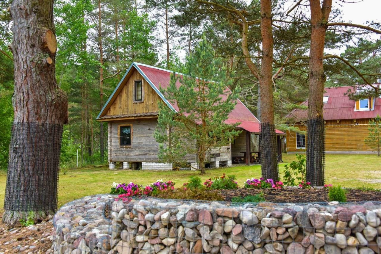 Kempings Videnieki Liepene Bagian luar foto