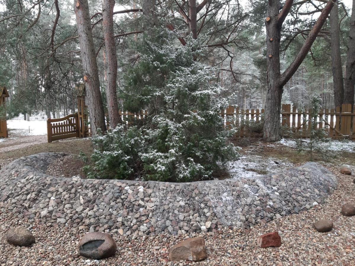 Kempings Videnieki Liepene Bagian luar foto